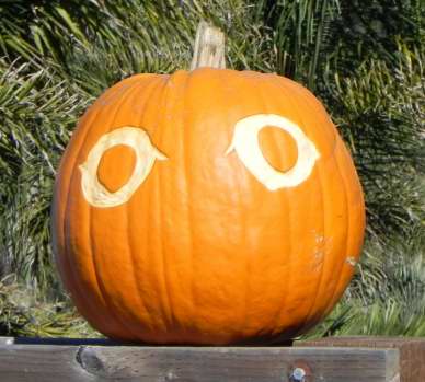 Owl eyes, Nipomo Pumpkin Patch, carving idea